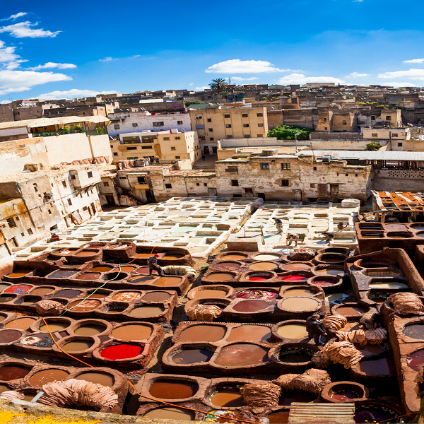 Fes guided city tour