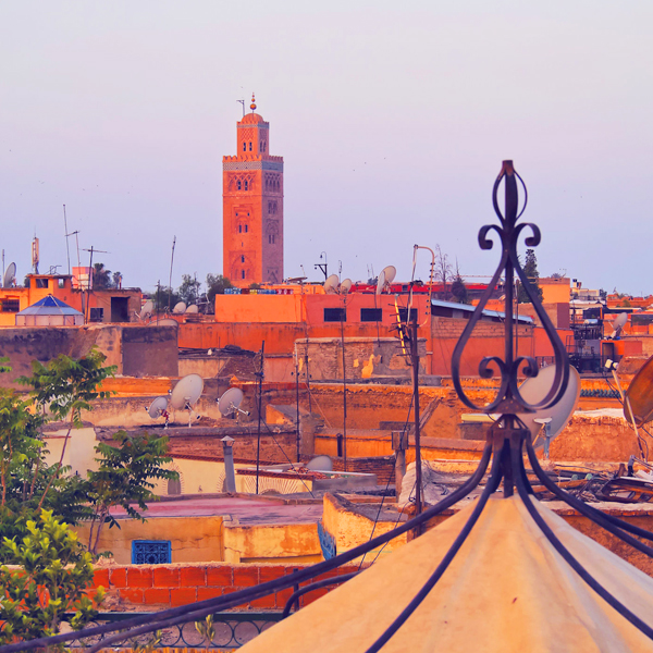 Casablanca Day Trip to Marrakech