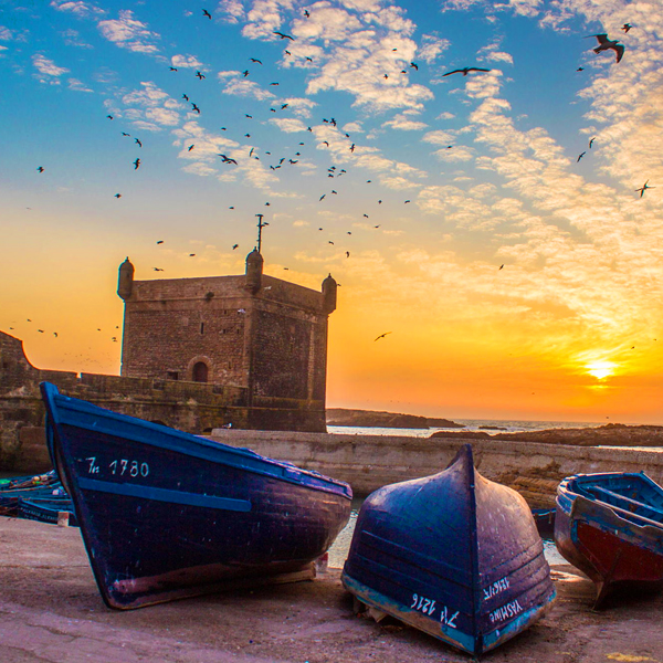 Marrakech day trip to Essaouira